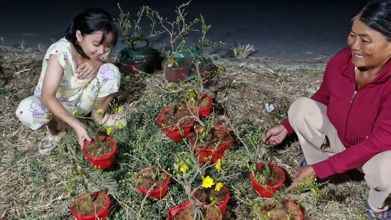 Chở hoa xuân Bình Đại  ( bán xã lổ hoa giấy)