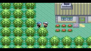 Hack Rom Test Flag Parte 2