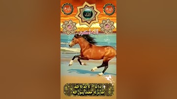 فايز الحميري سورة الانبياء #ترند #السعودية #الجمعة #المغرب #quran #تلاوات_رائعة #الكويت #العراق