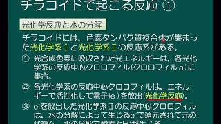 [講義] 生物_2.3.2 光合成のしくみ①チラコイド膜での反応