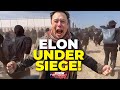 Revealed sinister plot behind tesla factory siege  the real reason musks empire is under attack