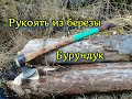 Топорище из березы. Валим ствол правильно