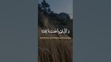(إِنَّهُمْ كَانُوا لا يَرْجُونَ حِسَابًا) | سورة النبأ آية ٢٧-٣٠| القارئ عبد الرحمن مسعد |راحة القلب