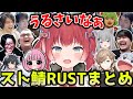 大炎上したスト鯖RUSTのクリップを見るかるび【赤見かるび /あかりん/k4sen/あかりん/夜よいち/スタンミ/ありけん/ゆきお/なちょ猫/クラッチ/ゆきお/aja/叶/sasatikk/切り抜き】