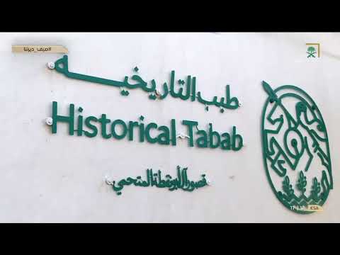 قصور وحصون آل أبونقطة المتحمي بطبب التاريخية منطقة عسير