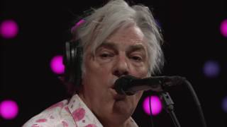Video thumbnail of "Robyn Hitchcock - Madonna of the Wasps (Live on KEXP)"