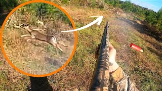 KILL SHOT Compilation Pt. 1!! | 2023 Deer Hunting With Dogs