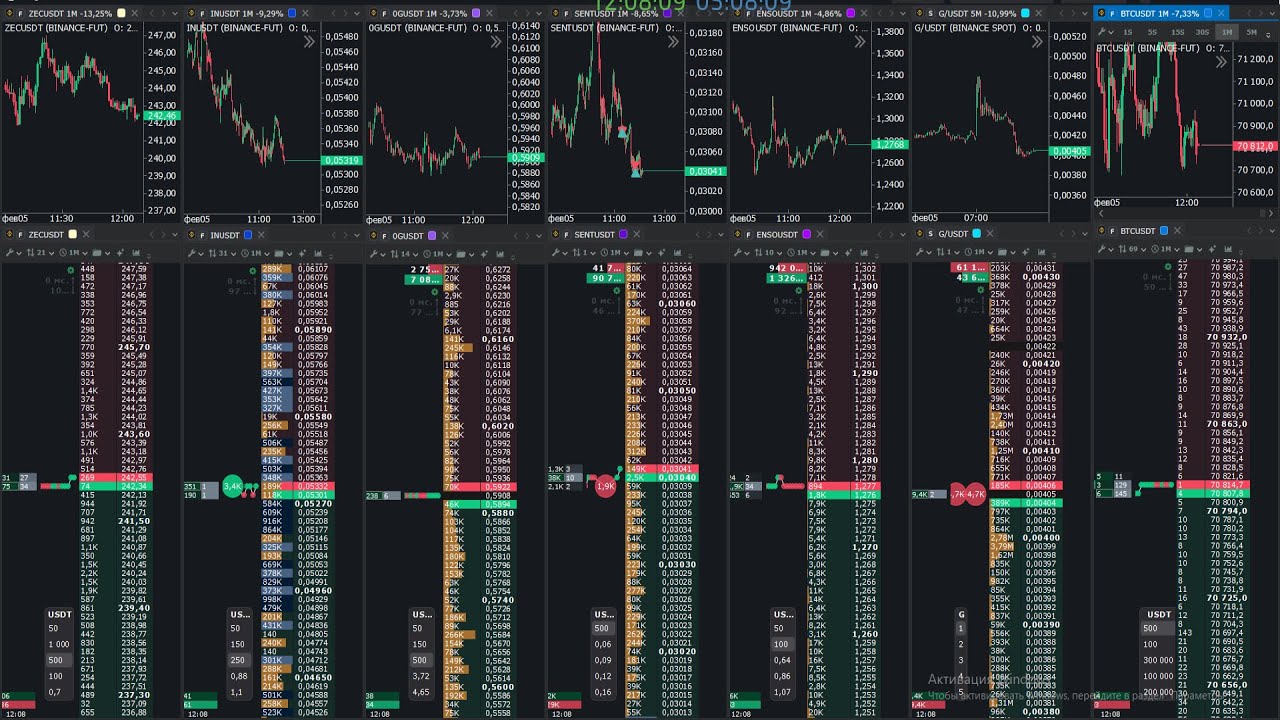 2026 01 21 PIPPIN  не пошла 1 часть