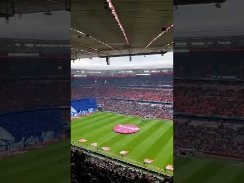 Herbert Grönemeyer Bochum und das Einlaufen zum Spiel