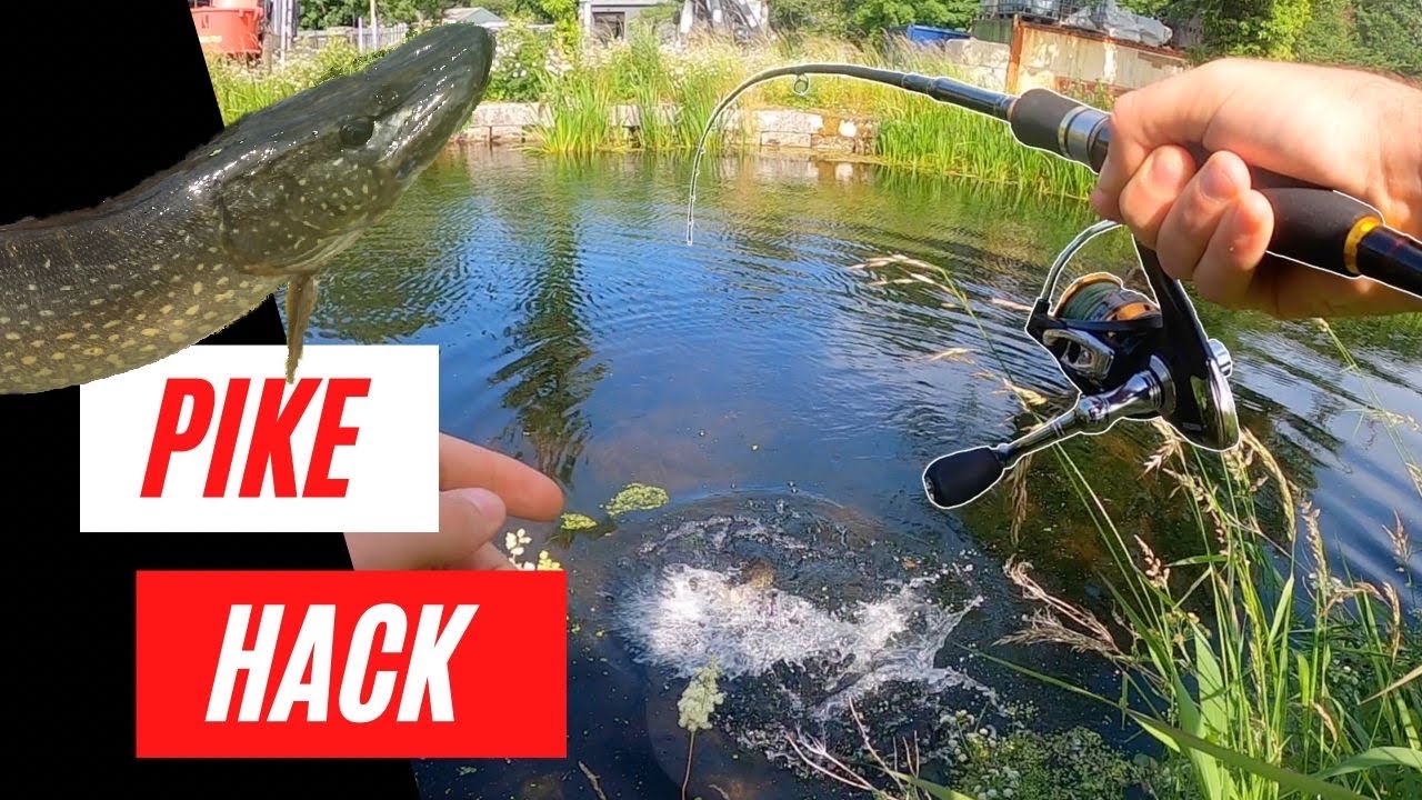 Topwater lure fishing MADE EASY - How to catch pike - YouTube