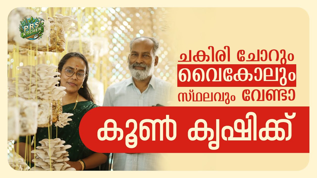 20 ദിവസം കൊണ്ട് കൂൺ വിളവെടുക്കാം | വൈക്കോലും സ്ഥലവും ചകിരി ചോറും വേണ്ടാ | Mushroom Farming Malayalam