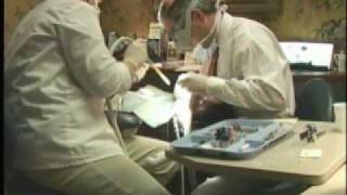 Willow Bend Dental