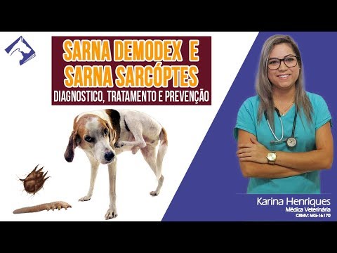 Vídeo: Sarna Demodética Em Cães: Sintomas E Causas