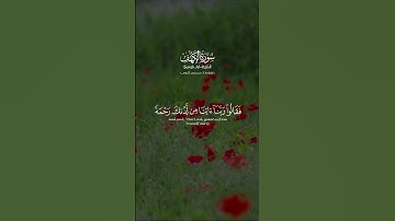 أم حسبت أن أصحاب الكهف والرقيم كانوا من آياتنا عجبا | الشيخ محمد أيوب