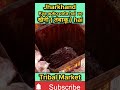खैनी ( तंबाकू ) in tribal Market jharkhand shorts video #खैनी #tribalmarket