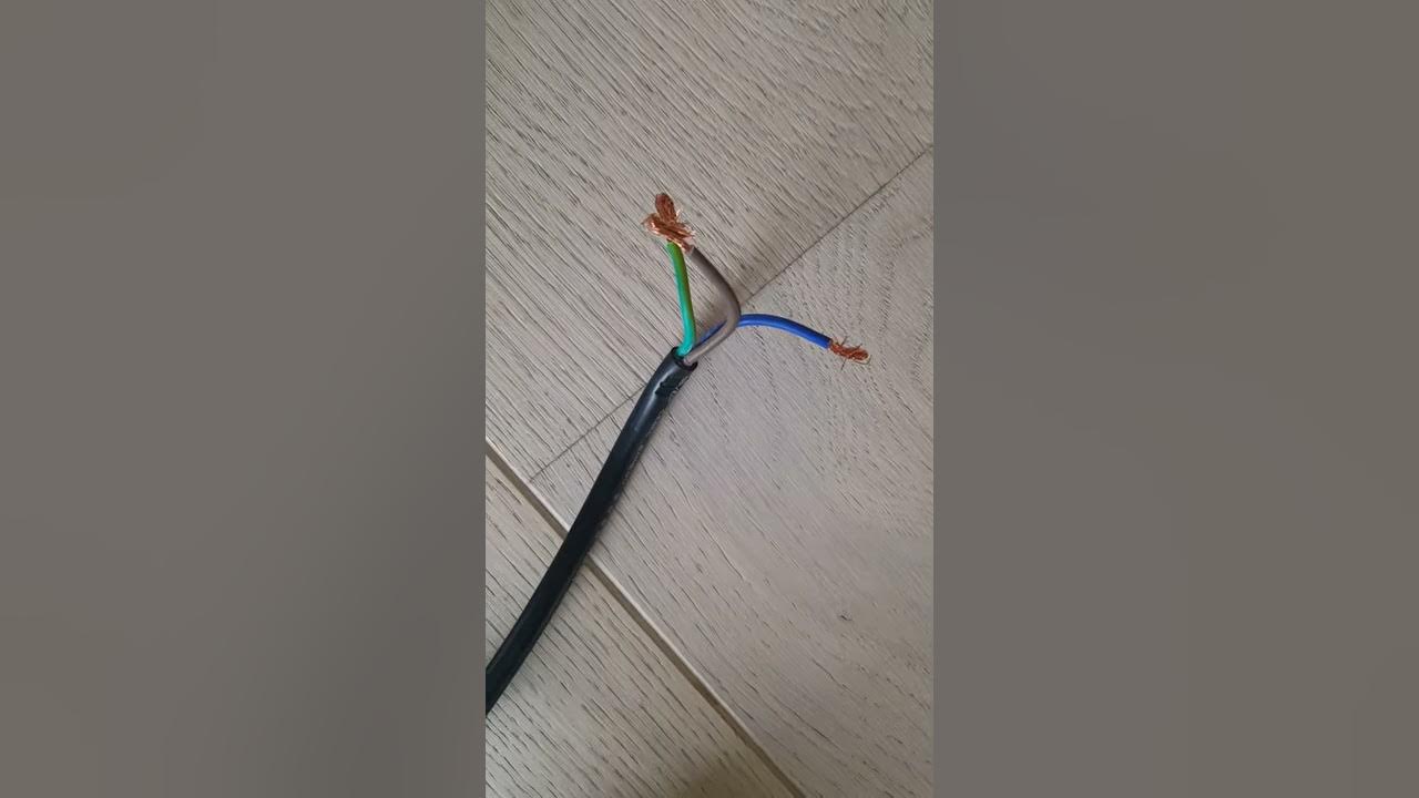 CDAbrand FWC303SS Freestand WINE COOLER in STAINLESS STEEL YouTube