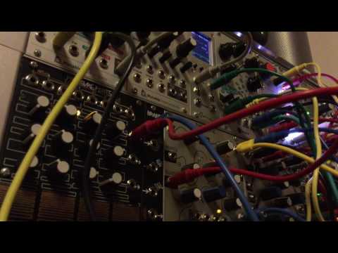 Modular Jam #10  - fuzzy wave folding in C - braids, make noise lxd, zvex fuzz factory