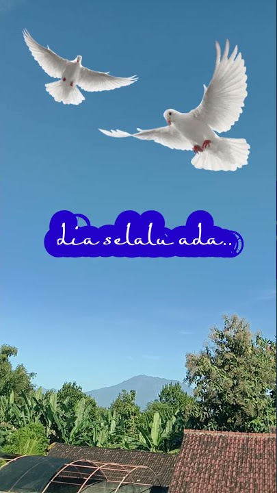 SAYANG - PASTO - Story' WA Keren Terbaru