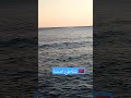 شاطئ امسا نواحي تطوان الشمال اكسبلور شاط تيك توك لايك ترند بحر شاطئ امسا نواحي تطوان الشمال اكسبلور شاط تيك توك لايك ترند بحر