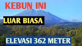 Kebun Durian di kelilingi mata Air dan Buah -Buahan di Cigudeg Bogor