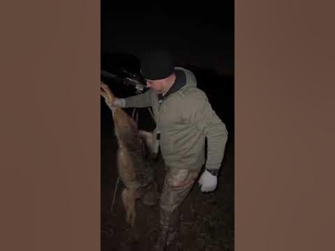 PA Coyote Hunt - YouTube