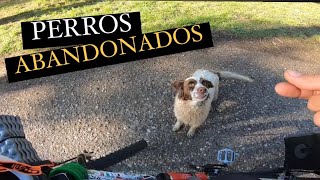 PROVINCIA de CORDOBA de TRANSITO hasta LA FRANCIA Episodio#18 Argentina