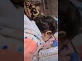 #beti #daughter #father