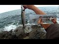 Shore Fishing - SPINNING from the Rocks - Targeting MACKEREL and BASS