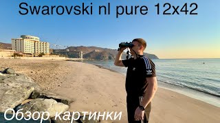 Бинокль Swarovski NL Pure 12x42 обзор картинки