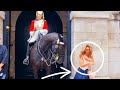 Disrespect the kings horse tourist complains to her friends that horse bit her at horse guards