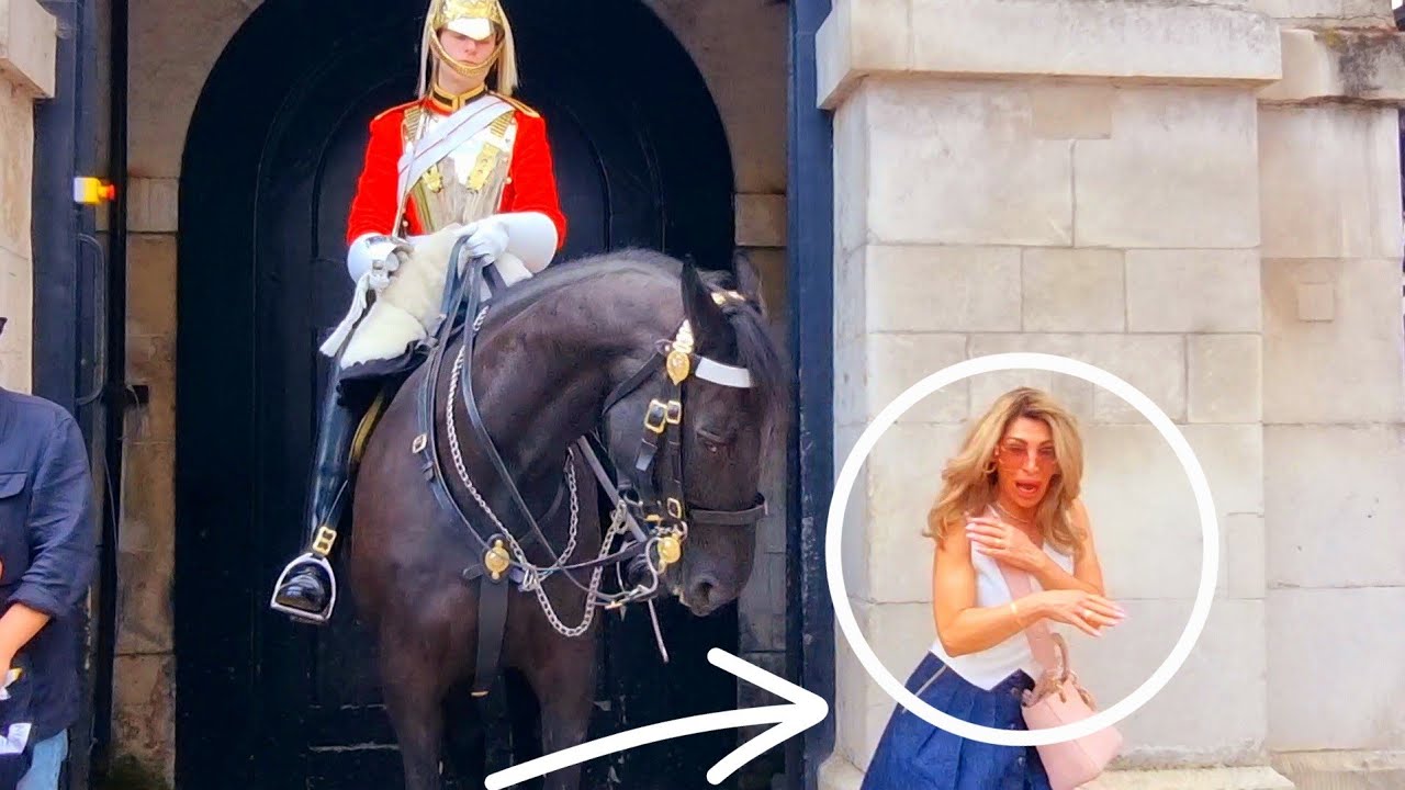 YOU WON’T BELIEVE HOW ABUSIVE HE GETS TOWARDS ROYAL GUARD | Horse Guards, Royal guard, Kings Guard