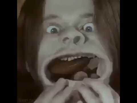 The Most Weird Video All The Time The Most Weird Video All The Time