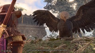 Match Highlights Baldur's Gate 3 - Blue Jay Kills Unconscious Giant Eagles