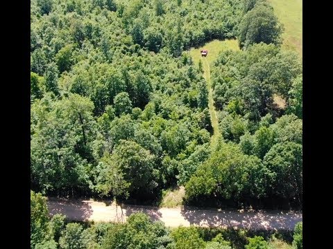 $500 Down for 28 Acres in Ozarks - Owner Financed Hunting Land! - ID#SG28 LegacyHuntingLand.Com