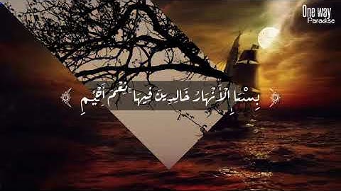 تلاوة رائعة للطفل أنس الشهاب