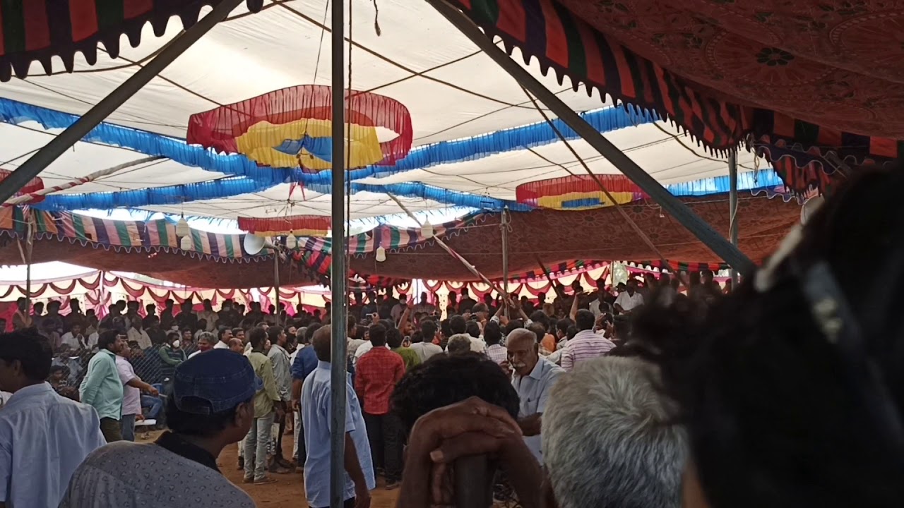 Vetlapalem cocks fight