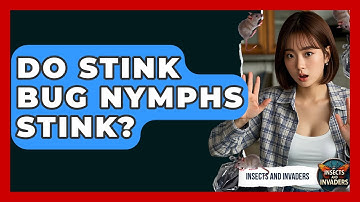 Do Stink Bug Nymphs Stink? - Insects and Invaders