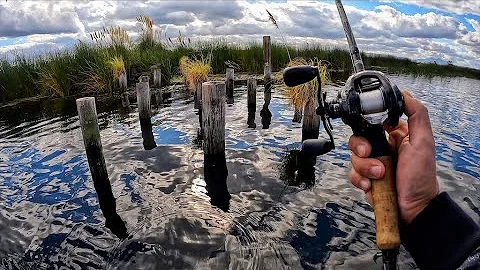 California Delta Fall Transition (ft. Obedie Willi...