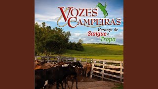 Video thumbnail of "Vozes Campeiras - De Volta Aos Tempos de Piá"