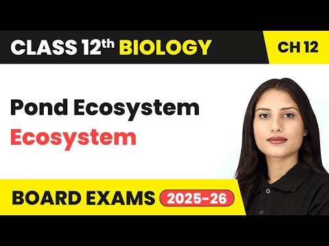 What Is Pond Ecosystem In Hindi