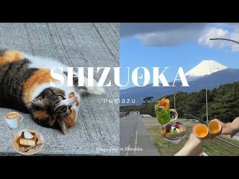 1泊2日で静岡大満喫コース🚗🎀かわいい猫ちゃんに癒された旅🐈｜沼津カフェ｜戸田港｜海（numazu, heda)