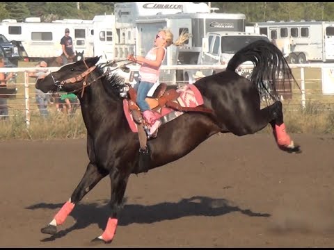 barrel racing saddle