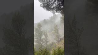 Rain #rain #mountain #lluvia #travel #moments #дождь #испания #горы #туман #дождьвгорах
