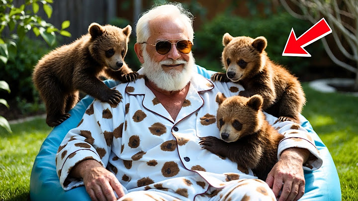 Old Man Saved 3 Bear Cubs — Years Later, You won't Believe how they Returned the Favor!