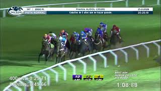 Vidéo de la course PMU PREMIO AJOOL 2020