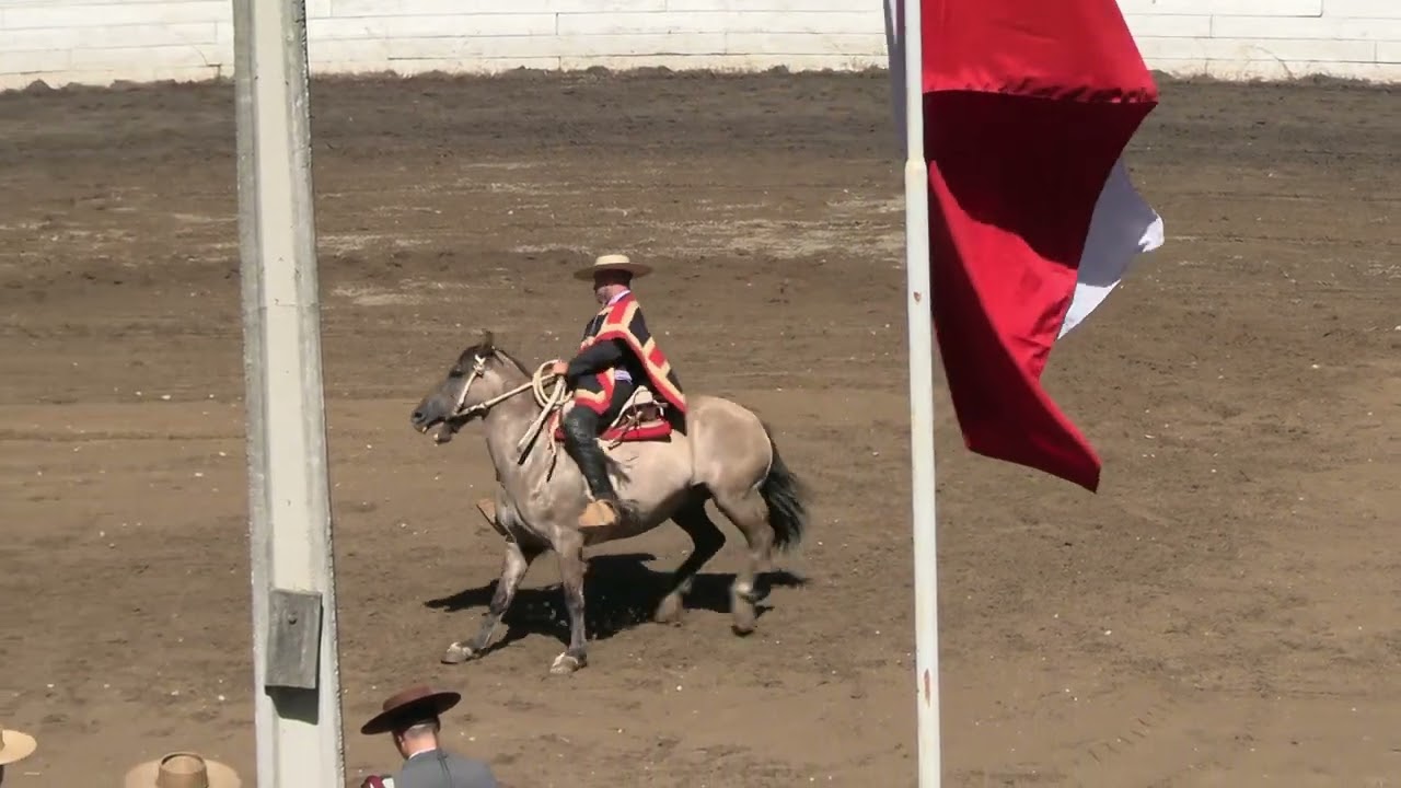 Serie De Campeones - Club Los Cuarteles 12/01/2025