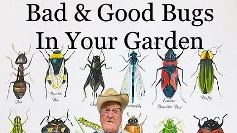 Bad & Good Bugs in Your Garden