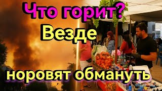 Π²ΠΈΠ΄Π΅ΠΎ: #180. Π’ΡΡΡΠΈΡ. ΠΠΎΠΆΠ°Ρ. ΠΠΊΡΡΠ½ΡΡΠΊΠΈ ΠΈΠ· ΠΠΠΠ ΠΠ‘. ΠΠ°Π·Π°Ρ. ΠΠΎΠΌΠ΅Π½ΡΠ»ΠΈ ΡΠ΅ΠΌΠΎΠ΄Π°Π½.  ΠΊΠ°ΡΡΠΈΠ½ΠΊΠ°: #180. Π’ΡΡΡΠΈΡ. ΠΠΎΠΆΠ°Ρ. ΠΠΊΡΡΠ½ΡΡΠΊΠΈ ΠΈΠ· ΠΠΠΠ ΠΠ‘. ΠΠ°Π·Π°Ρ. ΠΠΎΠΌΠ΅Π½ΡΠ»ΠΈ ΡΠ΅ΠΌΠΎΠ΄Π°Π½.