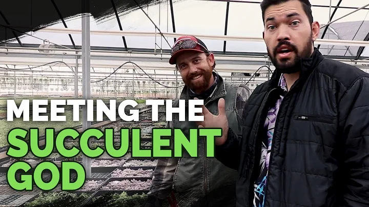 Secret Succulent Care Tips From a Master Succulent Grower - DayDayNews