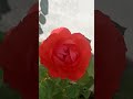 jaisi kerni vaisi varni #motivationvideo#